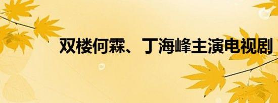 双楼何霖、丁海峰主演电视剧