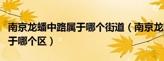 南京龙蟠中路属于哪个街道（南京龙蟠中路属于哪个区）