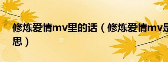 修炼爱情mv里的话（修炼爱情mv是什么意思）