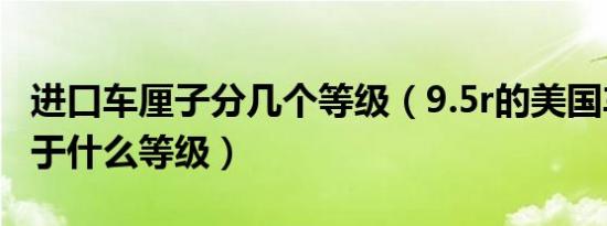 进口车厘子分几个等级（9.5r的美国车厘子属于什么等级）