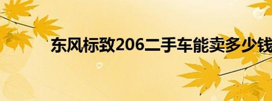 东风标致206二手车能卖多少钱