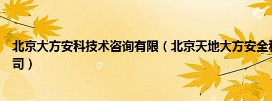 北京大方安科技术咨询有限（北京天地大方安全科技有限公司）