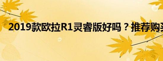 2019款欧拉R1灵睿版好吗？推荐购买吗？