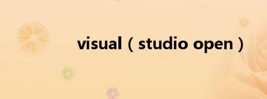 visual（studio open）