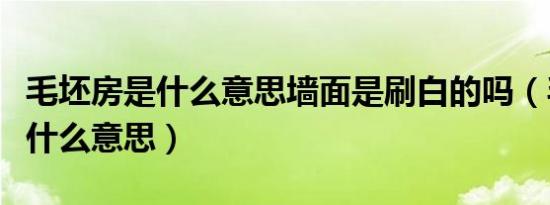 毛坯房是什么意思墙面是刷白的吗（毛坯房是什么意思）