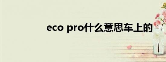 eco pro什么意思车上的