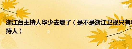 浙江台主持人华少去哪了（是不是浙江卫视只有华少一个主持人）