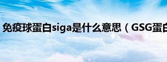 免疫球蛋白siga是什么意思（GSG蛋白是什）