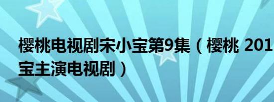 樱桃电视剧宋小宝第9集（樱桃 2012年宋小宝主演电视剧）