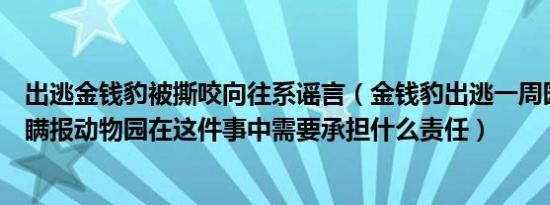 出逃金钱豹被撕咬向往系谣言（金钱豹出逃一周园方被质疑瞒报动物园在这件事中需要承担什么责任）