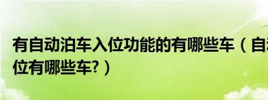 有自动泊车入位功能的有哪些车（自动泊车入位有哪些车?）