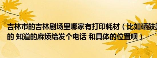 吉林市的吉林剧场里哪家有打印耗材（比如硒鼓墨粉这一类的 知道的麻烦给发个电话 和具体的位置呗）