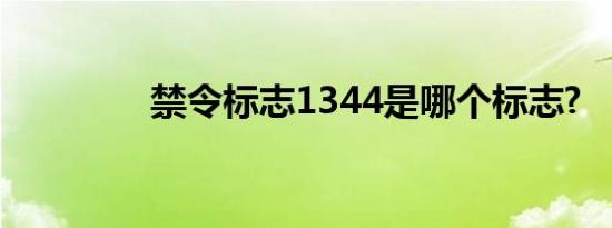 禁令标志1344是哪个标志?