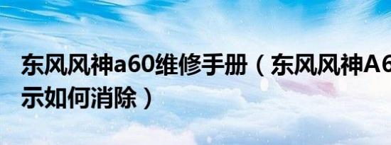 东风风神a60维修手册（东风风神A60保养提示如何消除）