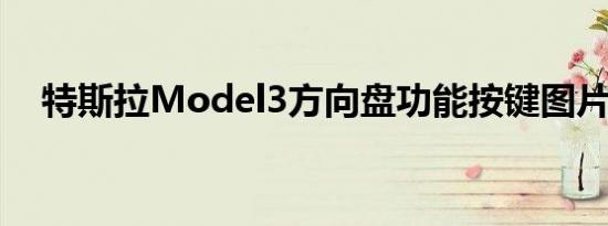 特斯拉Model3方向盘功能按键图片解析