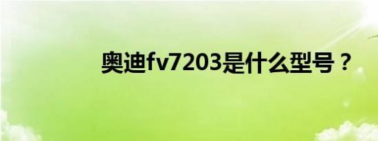 奥迪fv7203是什么型号？