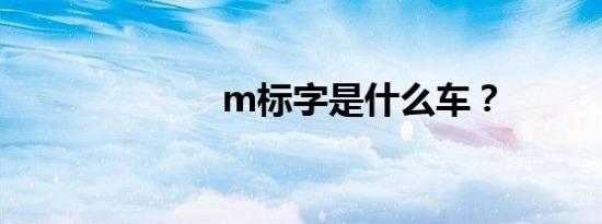 m标字是什么车？