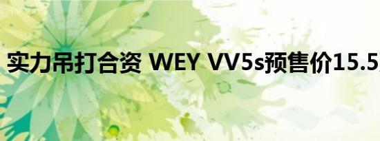 实力吊打合资 WEY VV5s预售价15.5万元起