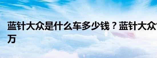 蓝针大众是什么车多少钱？蓝针大众售价多少万