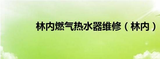 林内燃气热水器维修（林内）