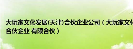 大玩家文化发展(天津)合伙企业公司（大玩家文化发展 天津合伙企业 有限合伙）