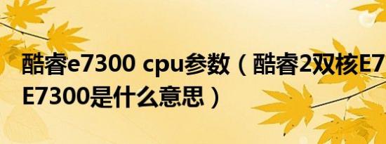 酷睿e7300 cpu参数（酷睿2双核E7300中的E7300是什么意思）