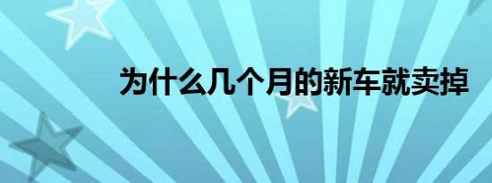 为什么几个月的新车就卖掉