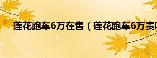 莲花跑车6万在售（莲花跑车6万贵吗?）