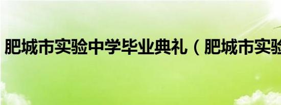 肥城市实验中学毕业典礼（肥城市实验中学）