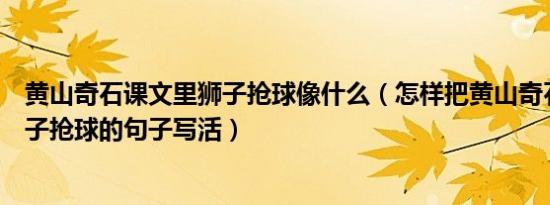 黄山奇石课文里狮子抢球像什么（怎样把黄山奇石里面的狮子抢球的句子写活）