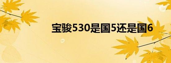 宝骏530是国5还是国6