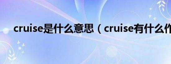 cruise是什么意思（cruise有什么作用）