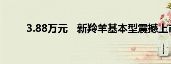 3.88万元   新羚羊基本型震撼上市