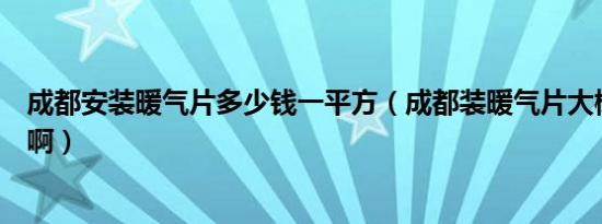 成都安装暖气片多少钱一平方（成都装暖气片大概要多少钱啊）