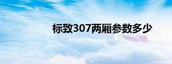 标致307两厢参数多少