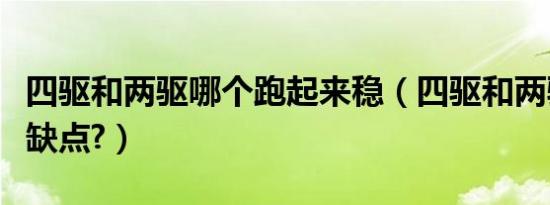 四驱和两驱哪个跑起来稳（四驱和两驱哪个优缺点?）