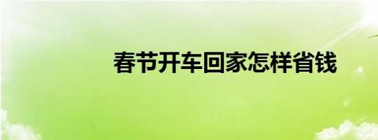 春节开车回家怎样省钱