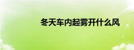 冬天车内起雾开什么风