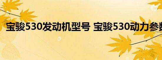 宝骏530发动机型号 宝骏530动力参数解析