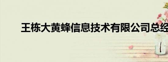 王栋大黄蜂信息技术有限公司总经理