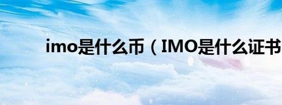 imo是什么币（IMO是什么证书）