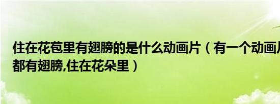 住在花苞里有翅膀的是什么动画片（有一个动画片里面的人都有翅膀,住在花朵里）