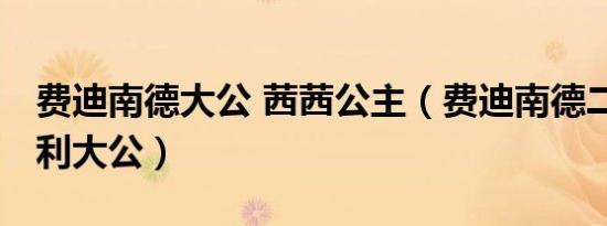 费迪南德大公 茜茜公主（费迪南德二世 奥地利大公）