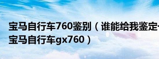 宝马自行车760鉴别（谁能给我鉴定一下这个宝马自行车gx760）