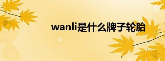 wanli是什么牌子轮胎