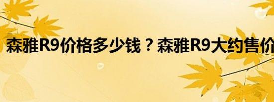 森雅R9价格多少钱？森雅R9大约售价多少？