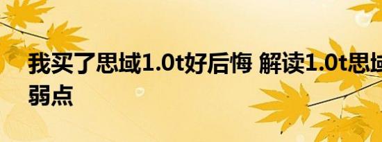 我买了思域1.0t好后悔 解读1.0t思域三缸的弱点