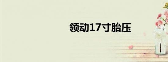 领动17寸胎压