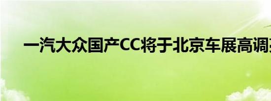 一汽大众国产CC将于北京车展高调亮相