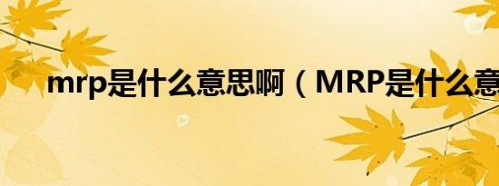 mrp是什么意思啊（MRP是什么意思）